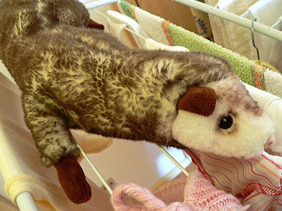 Guckt hier noch bedröppelt, ist aber mittlerweile wieder trocken und puscheliger als je zuvor: Das Strahle-Wiesel