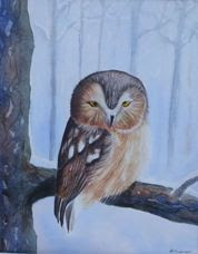 "Sawhet Owl"