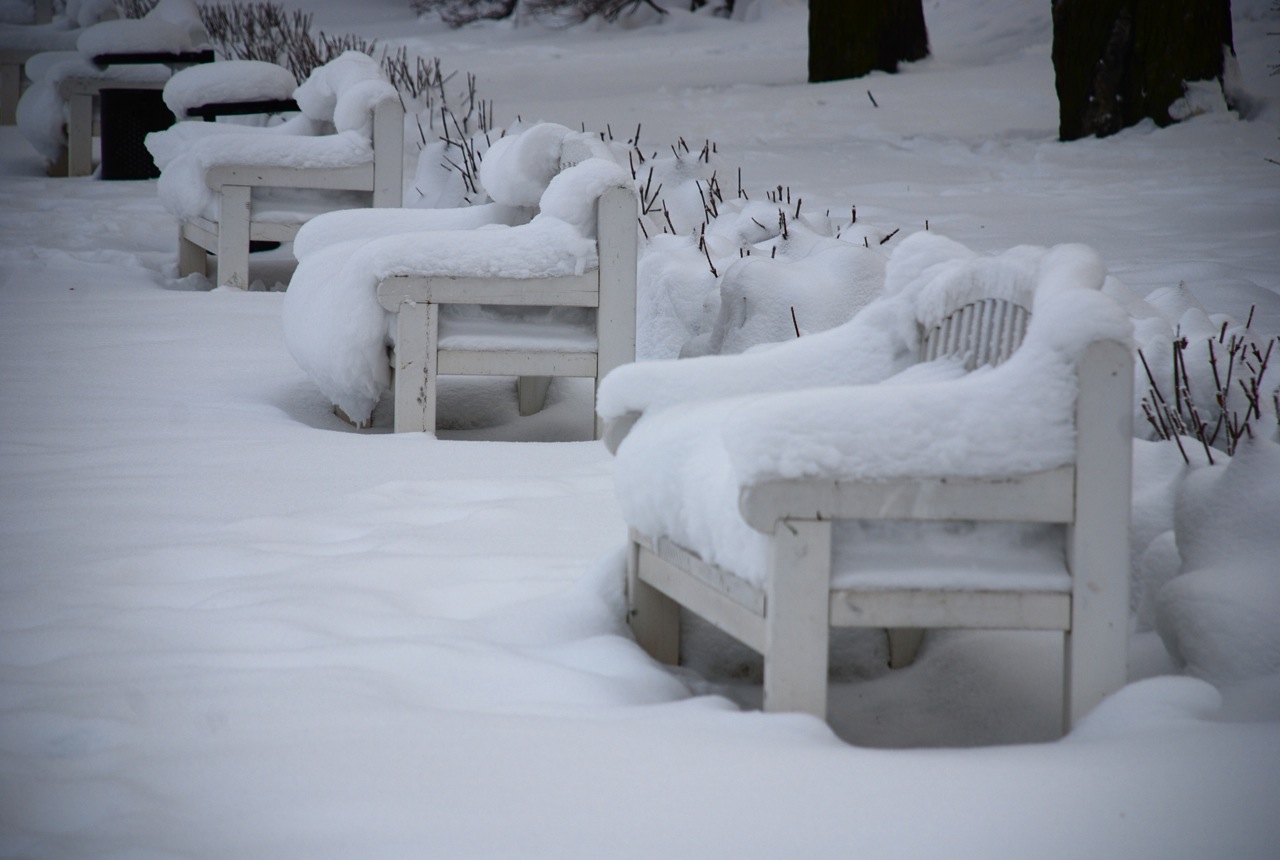 [lumised+pingid.jpg]