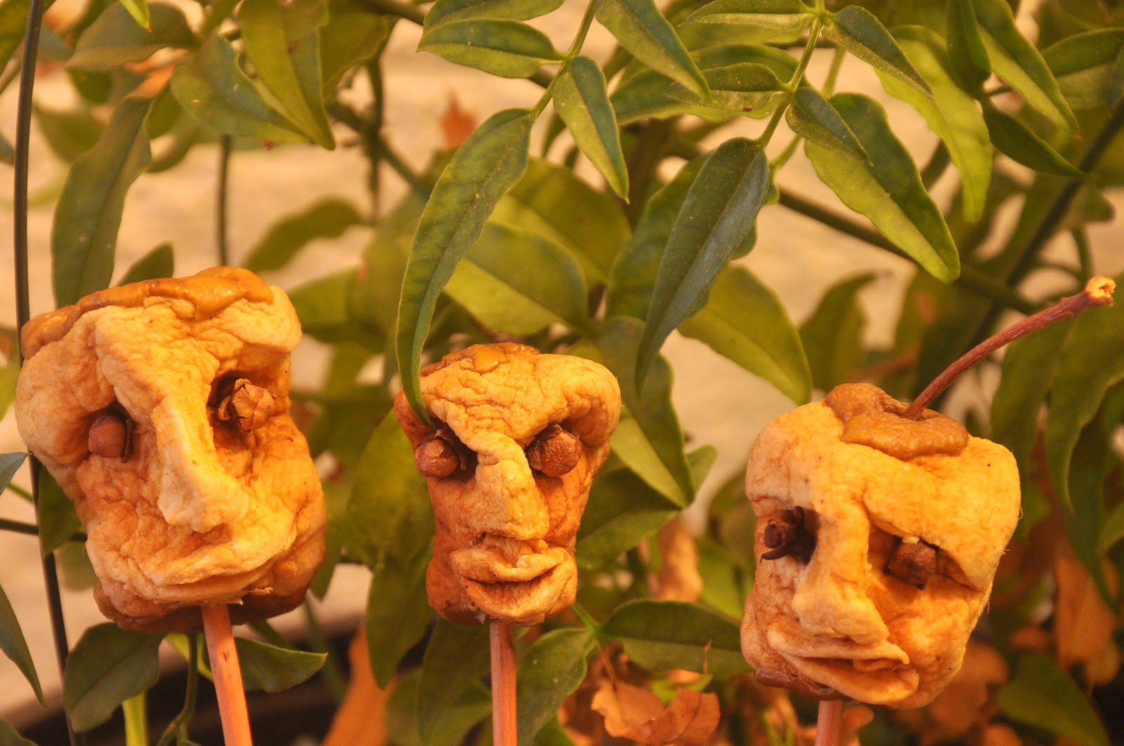 Kindling Shrunken apple heads