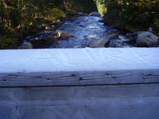 interlude sur rambarde de bois