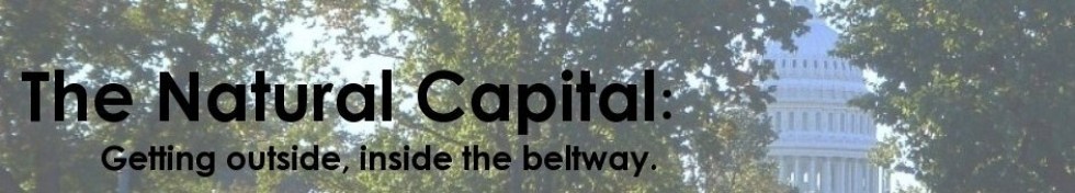 The Natural Capital - find us now at TheNaturalCapital.com