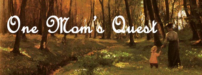 One Mom's Quest