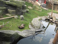 afbeelding Otter vijver