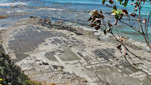 Tesselated Pavement vu d'en haut