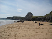 How they enjoyed the seaside. Thought I'd share these images with you as .