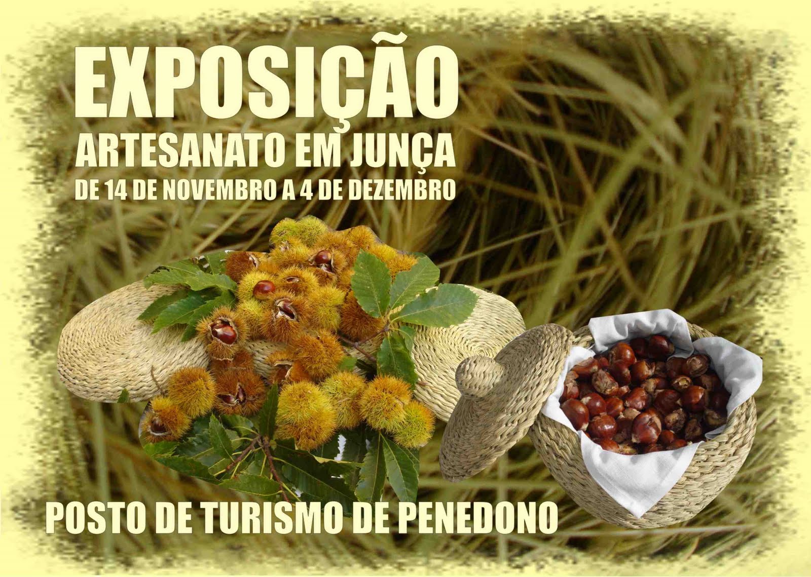 [ccartazjunca.jpg]
