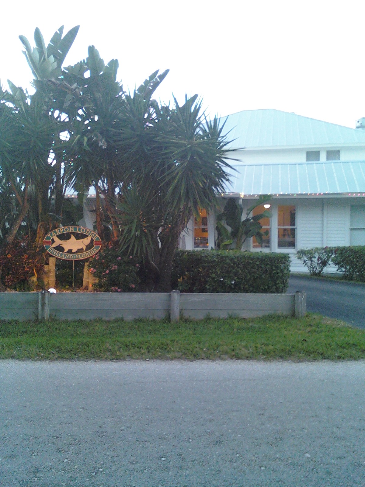 back at the Tarpon Lodge.