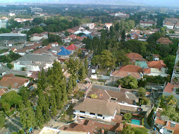 Dago 2008