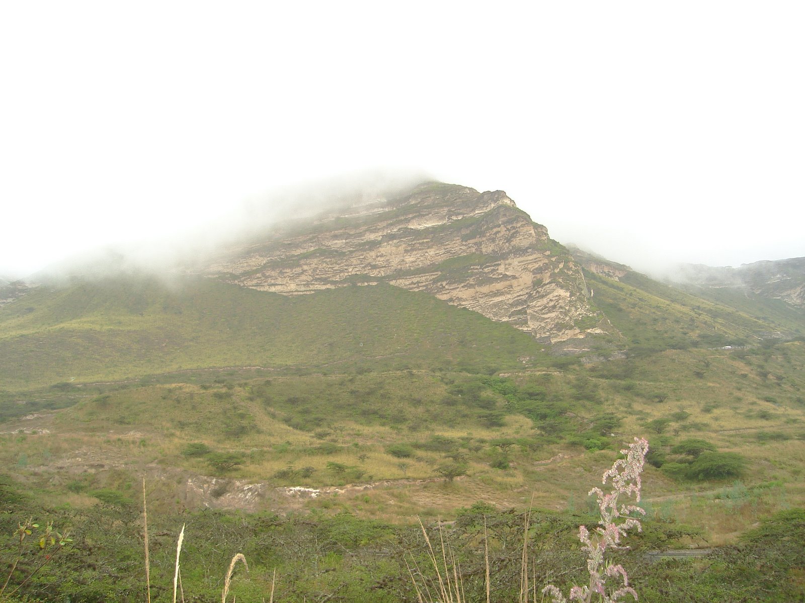 [DSC06244.JPG]
