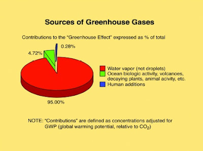exactly what gases make up