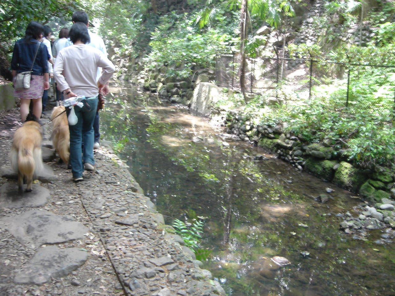 Blog ジョイ動物病院 等々力渓谷