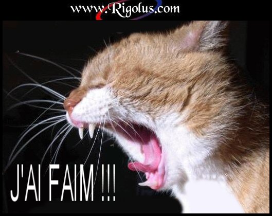 j%27ai+faim!.jpg