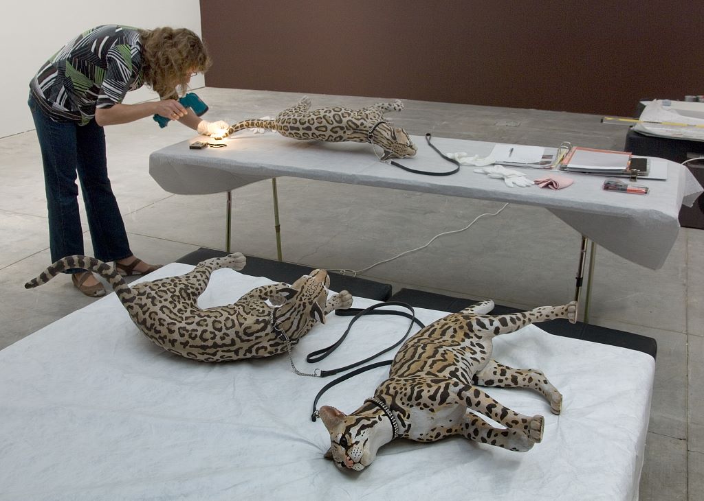 [Shonibare+installing++014+pp.jpg]