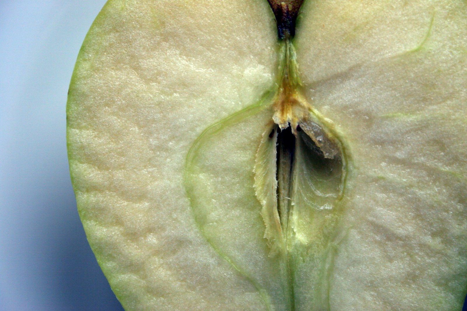 [IMG_2069.JPG+(3).JPG]