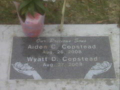 Aiden & Wyatt's Headstone