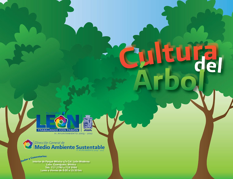Cultura del Árbol