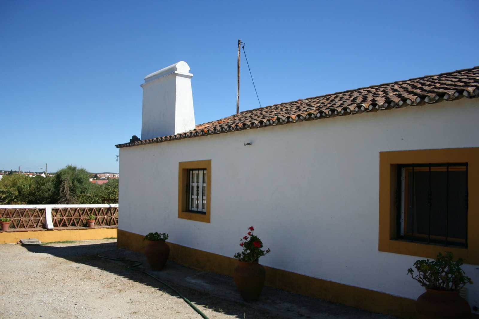 [IMG_0086.JPG]