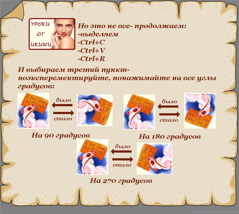 [73fa945993a2[1].jpg]