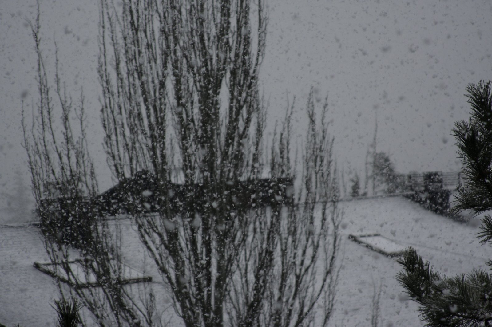 [fotos+sacadas+133.jpg]