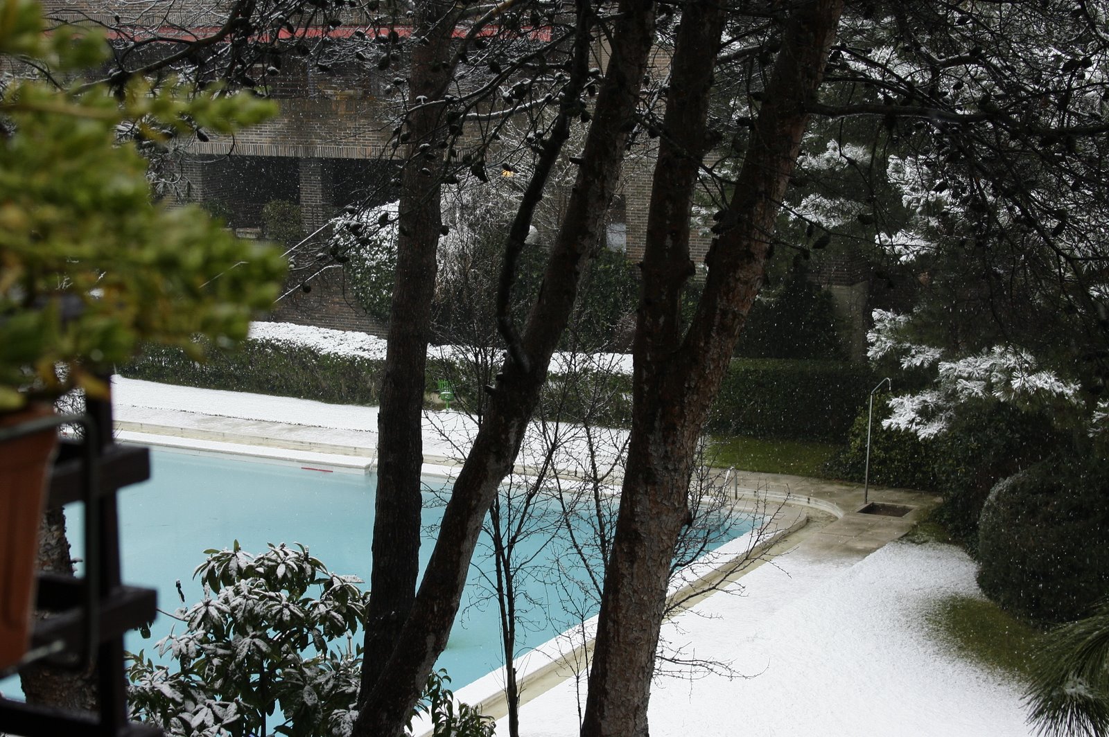 [fotos+sacadas+152.jpg]