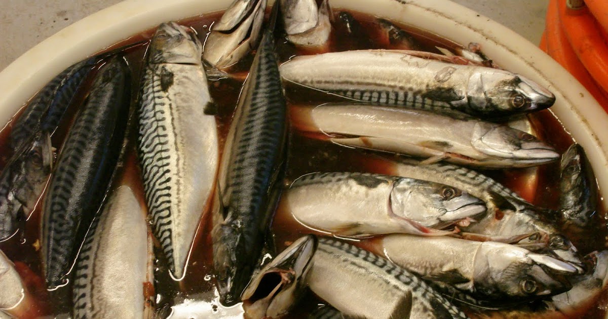 Alphabettrip Care for a smoke? (fish or eel, that is)