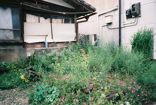 [FH000009.JPG]