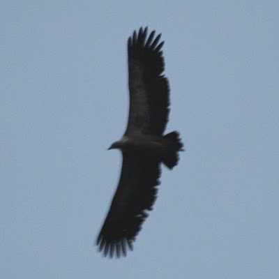 [IMG_4030.JPG]