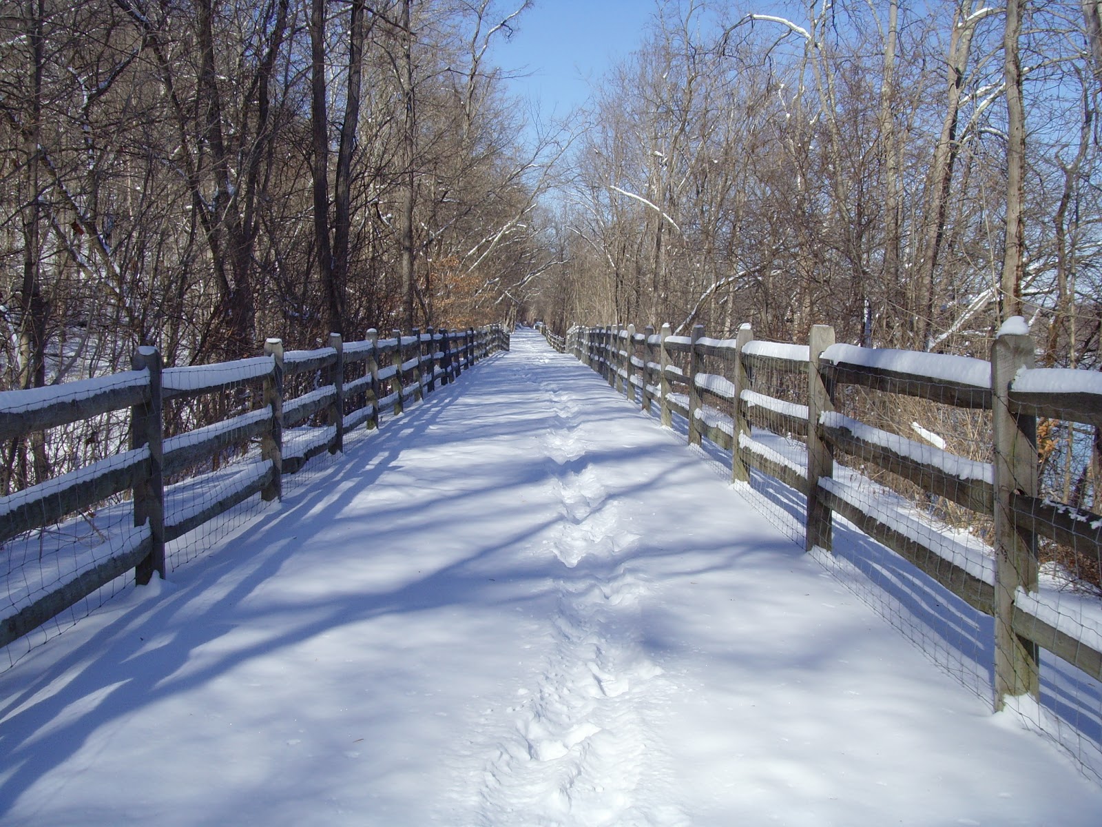 SWPA Rural Exploration A winter walk down the Rices Landing, PA rails