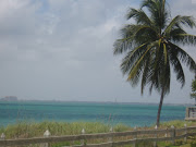 Bill Bagg State Park looking across Key Biscayne Bay to the Miami skyline
