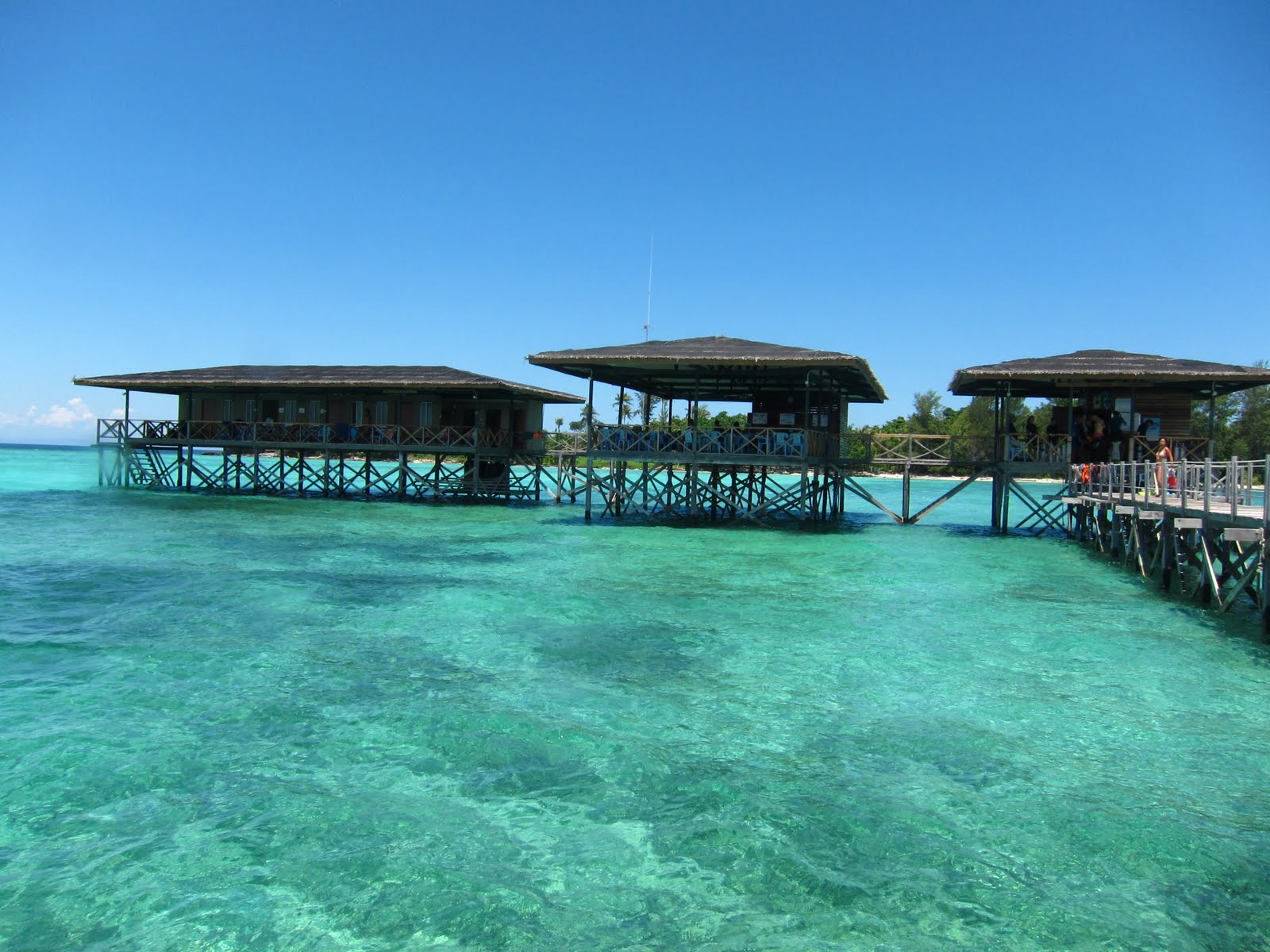 Travel Mango マンタナニ島