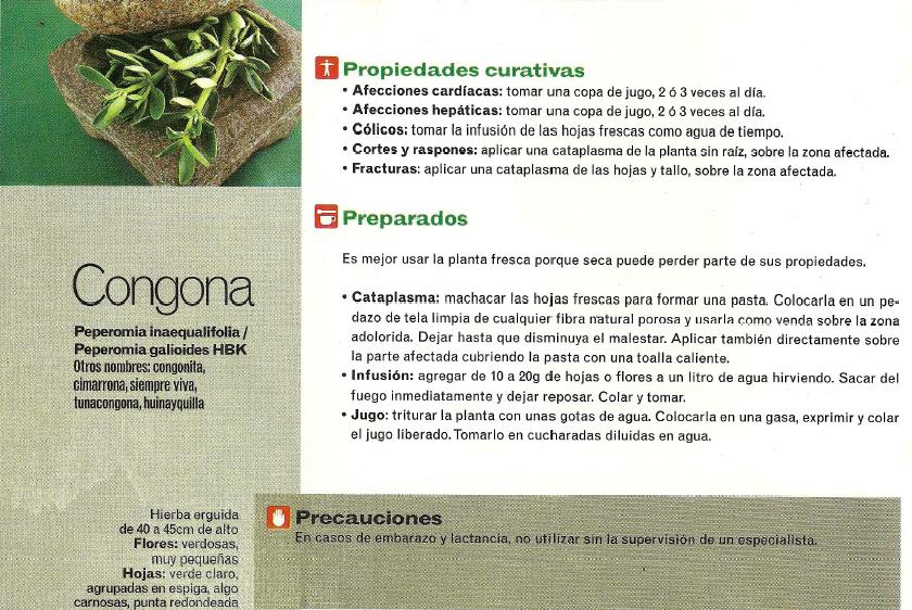 Botiquín Natural: Congona