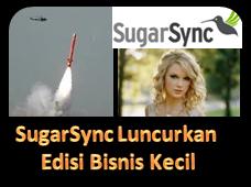 SugarSync Luncurkan Edisi Bisnis Kecil