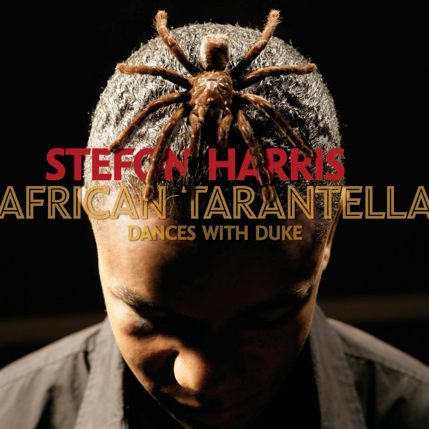 [stefon+harris+african+tarantella+front.jpg]