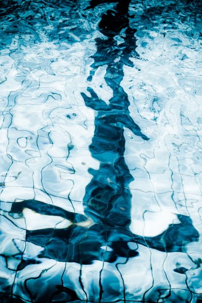 A Pic A Day Sometimes Two 2010