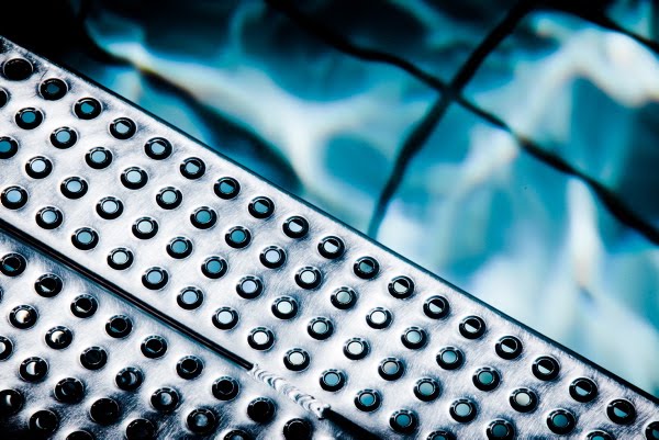 A Pic A Day Sometimes Two 2010