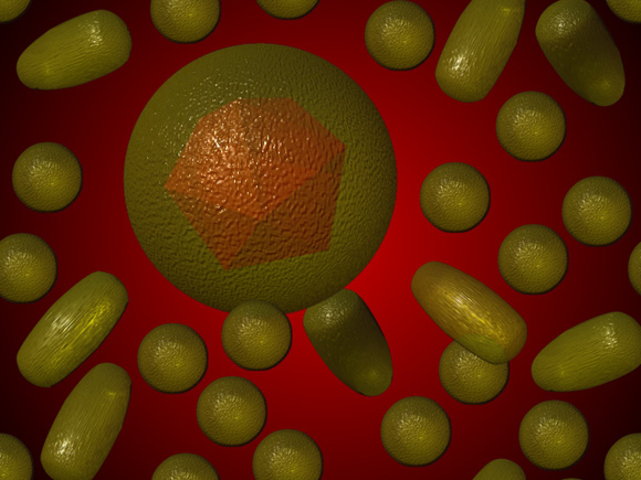 Hepatitis is an inflammation