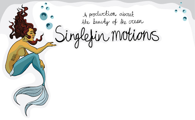Singlefin Motions