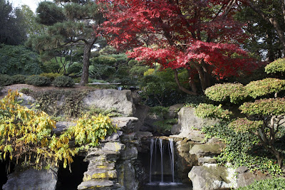 whispers from the yew: November 2009