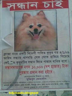 BANGLA JOKES AND GOLPO DOWNLOAD LINK-JOKES-BANGLA SMS AND XCLUSIVE PHOTO OF BANGLADESH - Page 5 Dog+banner%5Bbdjokes4u.blogspot%5D