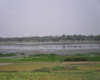 kushtia, beel, chapai gachhi, haor