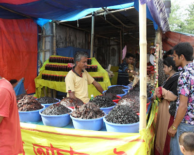 kuthibari mela, kushtia, rabindranath, thakur, rabi