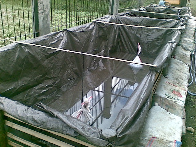 Rumah Herbal HPAI: PEMUPUKAN KOLAM BUDIDAYA IKAN AIR TAWAR