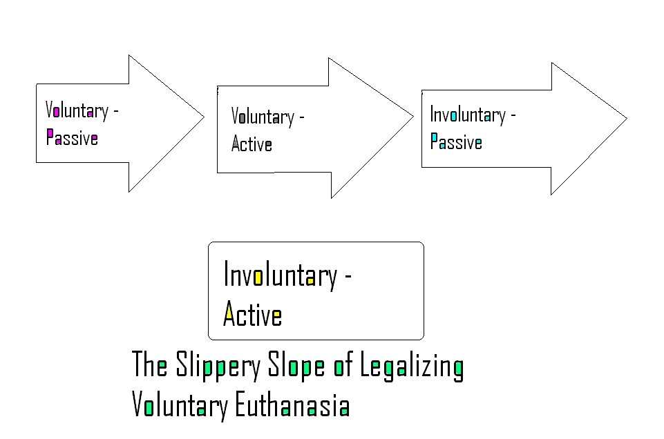 Consequences of Legalizing Voluntary Euthanasia Different Points of View