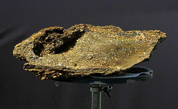 Chùm ảnh về khay đá tự nhiên để làm Bonsai – Walter Pall