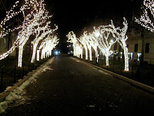 Jesse Millward's shot from NYC