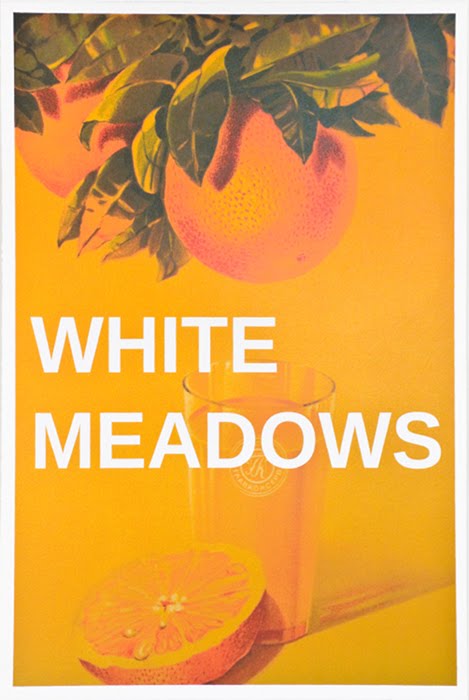 [JS_CS_WhiteMeadows.jpg]