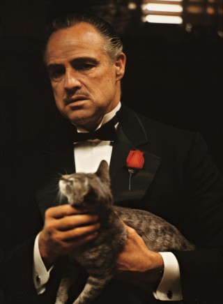 don+vito+corleone.jpg