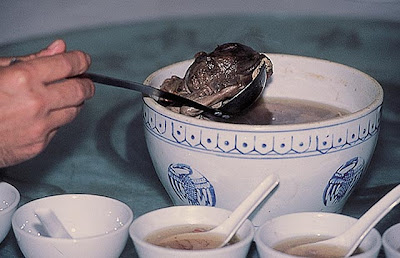 Chinse eat Baby Serving the Infant Soup for Chinse Guest