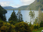 Parque Nacional los Alerces